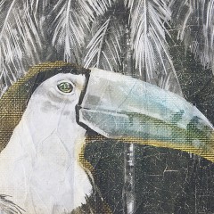 TOUCAN NOIR (120X120 cm)